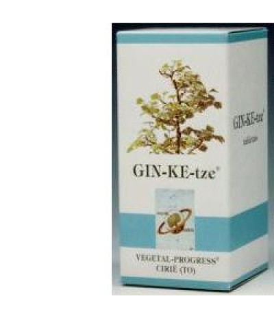 GINKETZE 80TAV 600MG VGP