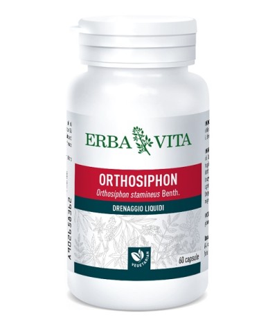 ORTHOSIPHON 60 Cps 400mg   EBV