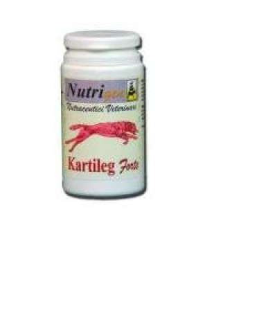 KARTILEG Forte 1g 60 Tav.