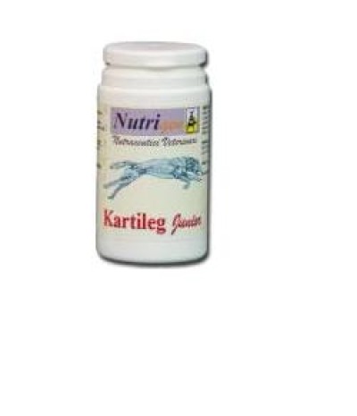 KARTILEG Junior 1g 600 Tav.