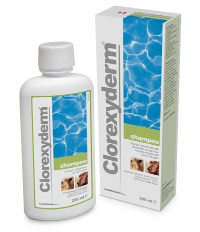 CLOREXYDERM Shampoo 250ml