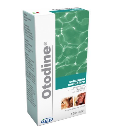 OTODINE Det.Liq. 50ml