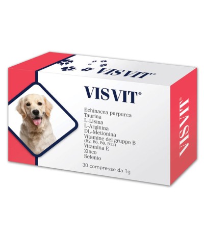 VISVIT 30 Cpr 1g