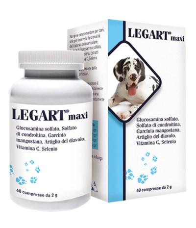 LEGART Maxi 60 Cpr 2g