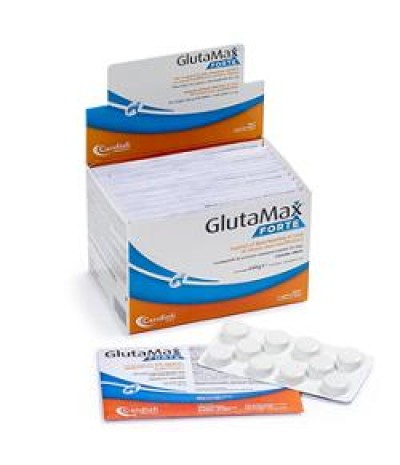 GLUTAMAX Fte 120 Cpr