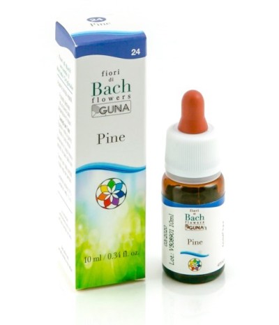 PINE 24 10ML GTT BACH GUNA