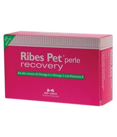 RIBES PET Recovery 60 Perle