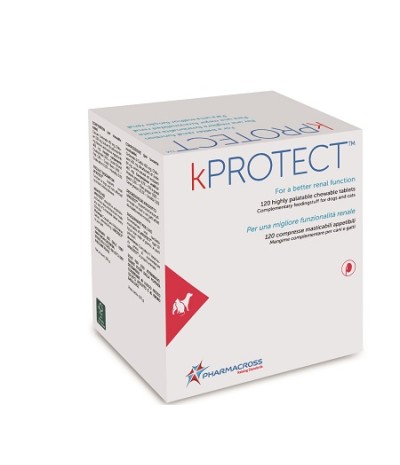 KPROTECT 120 Cpr mast.