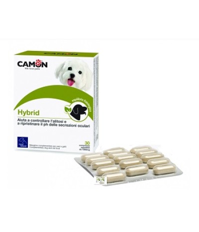 HYBRID 30 Cpr