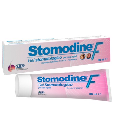 STOMODINE F Gel Stomat.30ml