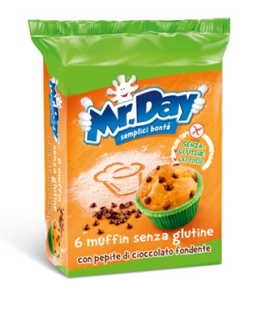 MR DAY Muffin Ciocc.6x42g
