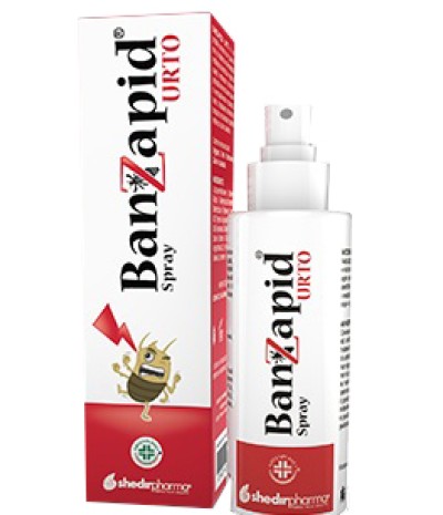 BANZAPID Spray Tratt.100ml