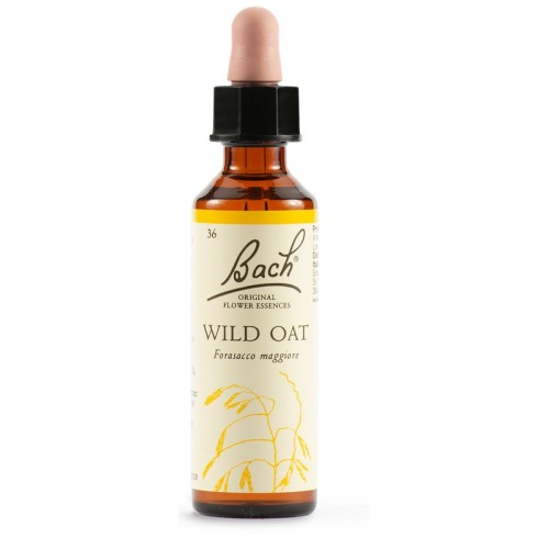 BACH 36 Wild Oat Gtt 20ml LKR