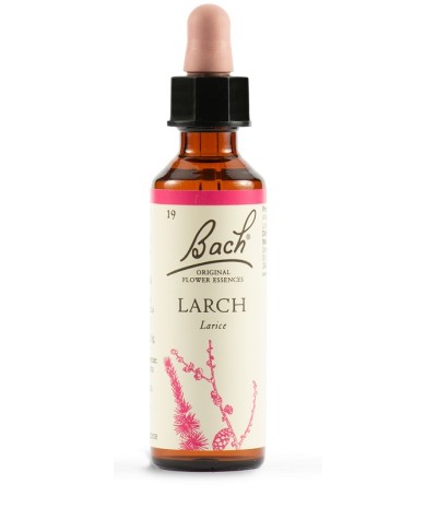 BACH 19 Larch Gtt 20ml