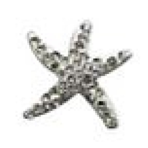 ORECCHINI STERILI STARFISH WHITE CRYST BJT928