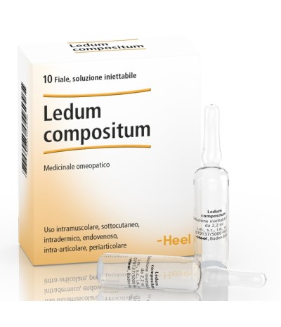 LEDUM COMP 10FL HEEL