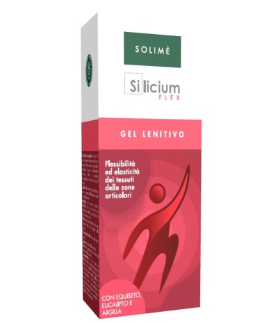 SILICIUM FLEX Gel 100ml