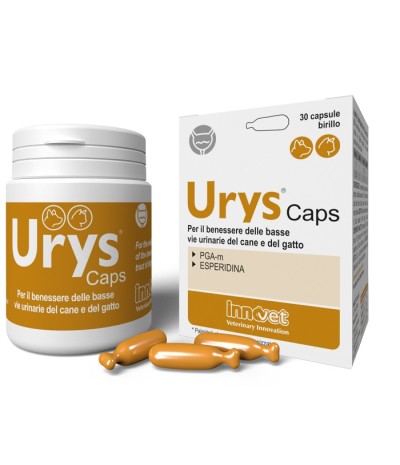 URYS CAPS 30 Cps