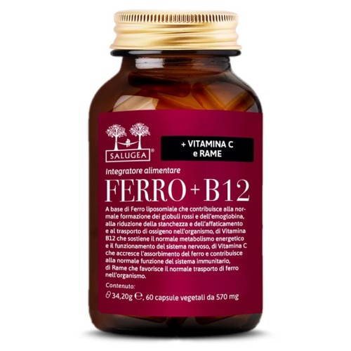 SALUGEA FERRO+B12 60 Cps