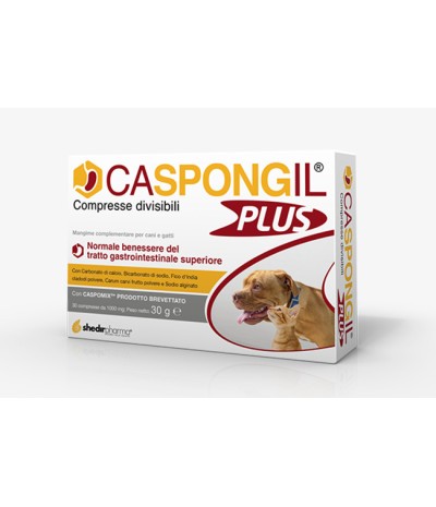 CASPONGIL Plus 30 Cpr