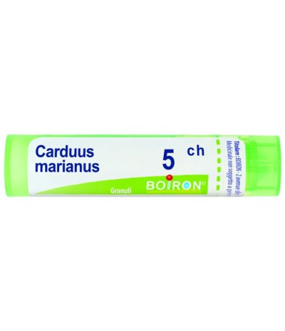 CARDUUS MARIANUS 5CH GR BO