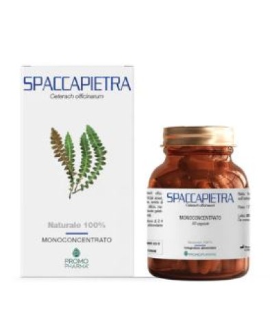 SPACCAPIETRA 50 Cps PRP