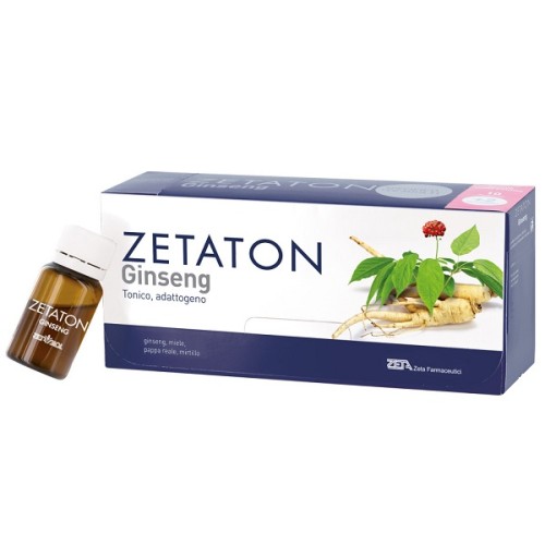 ZETATON GINSENG 12FX10ML<