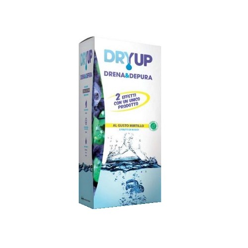 DRYUP Mirtillo 300ml